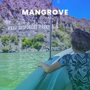 MANGROVE - 4 HOURS